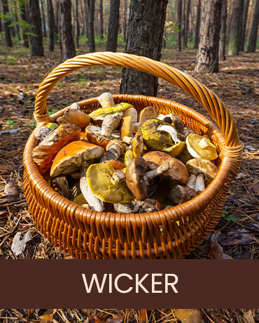 Wicker